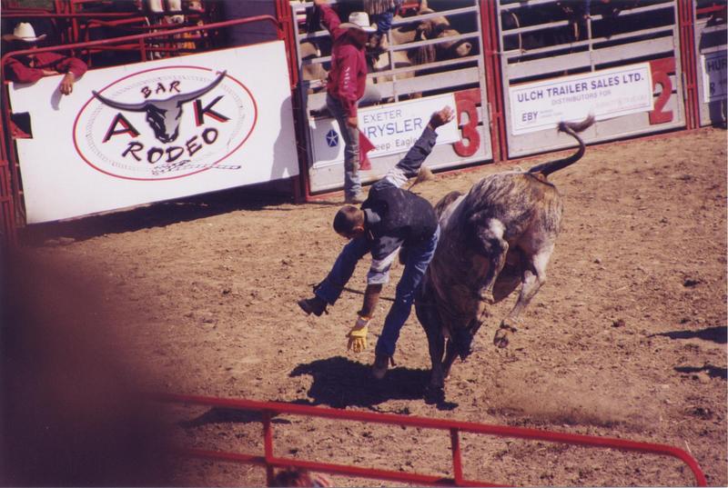 Bullrider